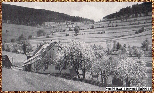 Baumblüte bei Dittersdorf, sudetendt. Schlesien