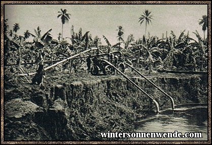 Fahrbare Pumpenanlagen bewässern in Kamerun die
Bananenfelder.