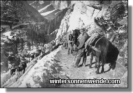 Deutsche Tragtierkolonne in den Südtiroler Alpen.