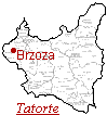 Brzoza