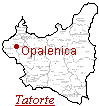 Opalenica