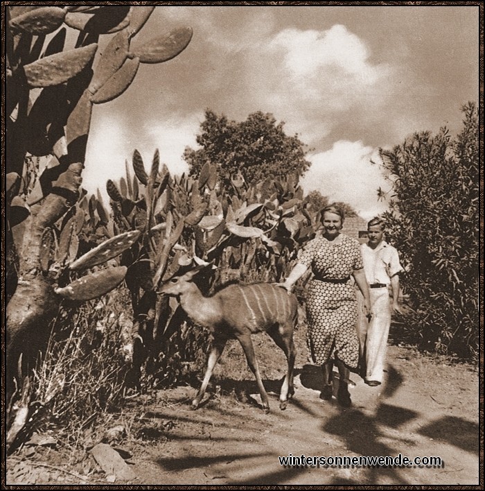 Sonntagsspaziergang auf der deutschen Farm Nagusib im äußersten Norden
von Südwestafrika.