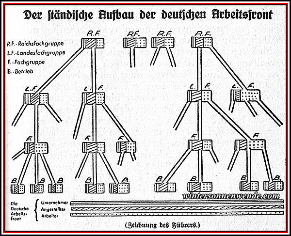 Der ständische Aufbau der deutschen Arbeitsfront.