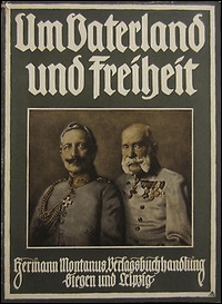 Um Vaterland und Freiheit, Bd. 1.