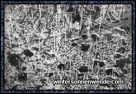 Zerschossener Wald im flandrischen Trichtergelände um Ypern.