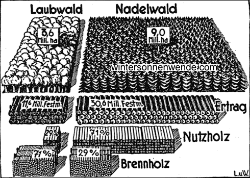 Der deutsche Wald und sein Ertrag